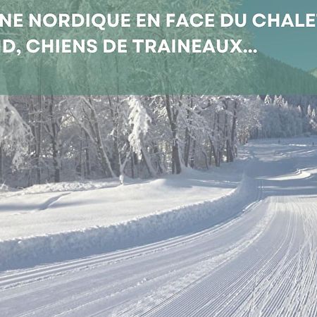 Chalet Les 4 Saisons - Ski, Parking Et Jardin Abondance Εξωτερικό φωτογραφία