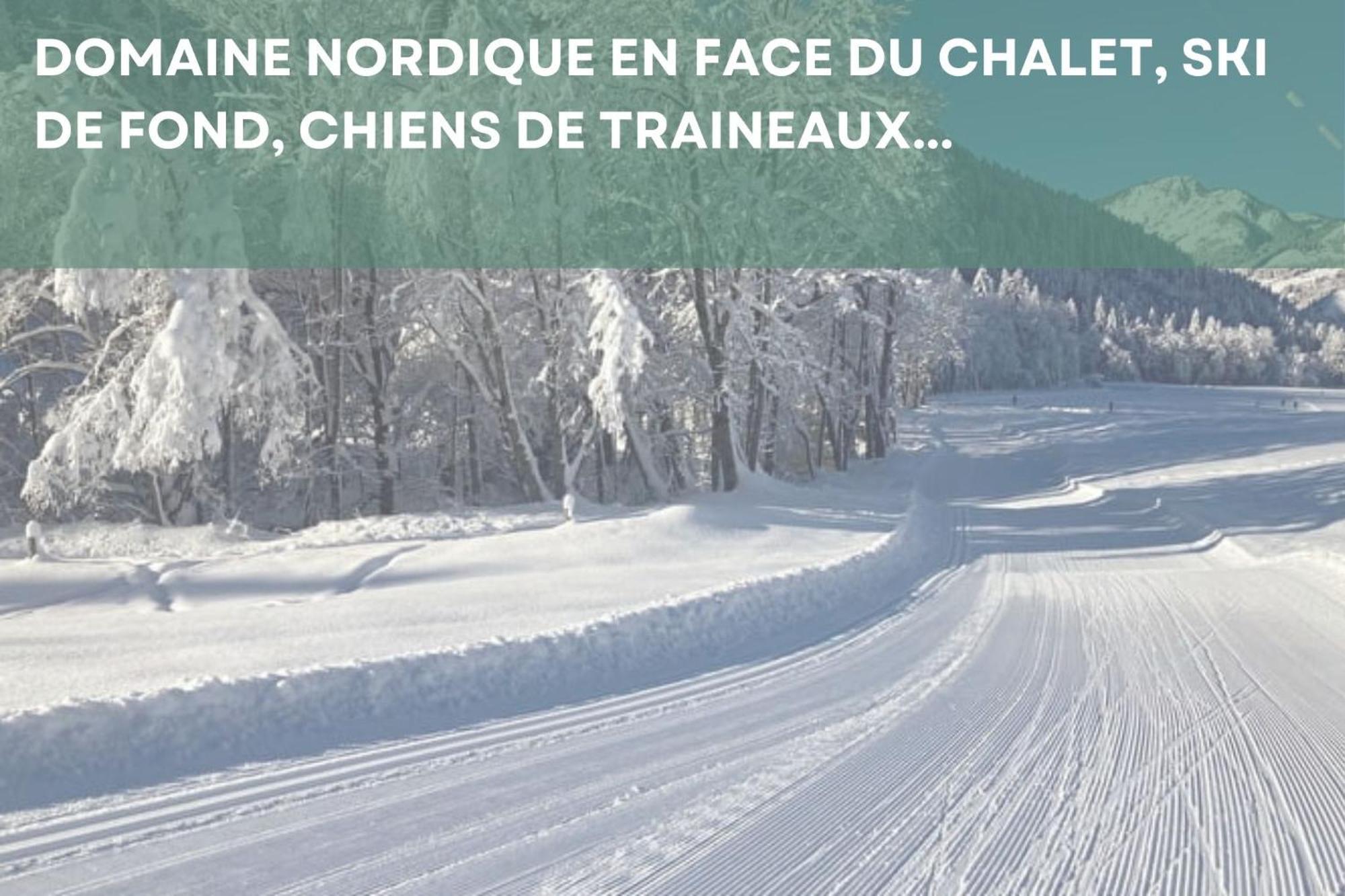 Chalet Les 4 Saisons - Ski, Parking Et Jardin Abondance Εξωτερικό φωτογραφία