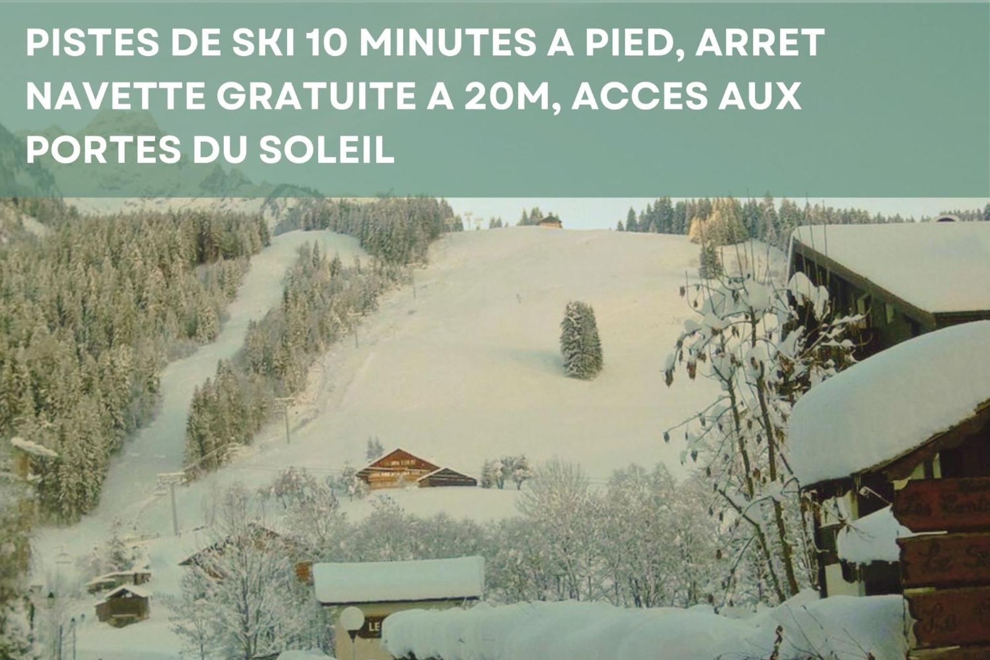 Chalet Les 4 Saisons - Ski, Parking Et Jardin Abondance Εξωτερικό φωτογραφία